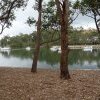 Burns Bay, Lane Cove River